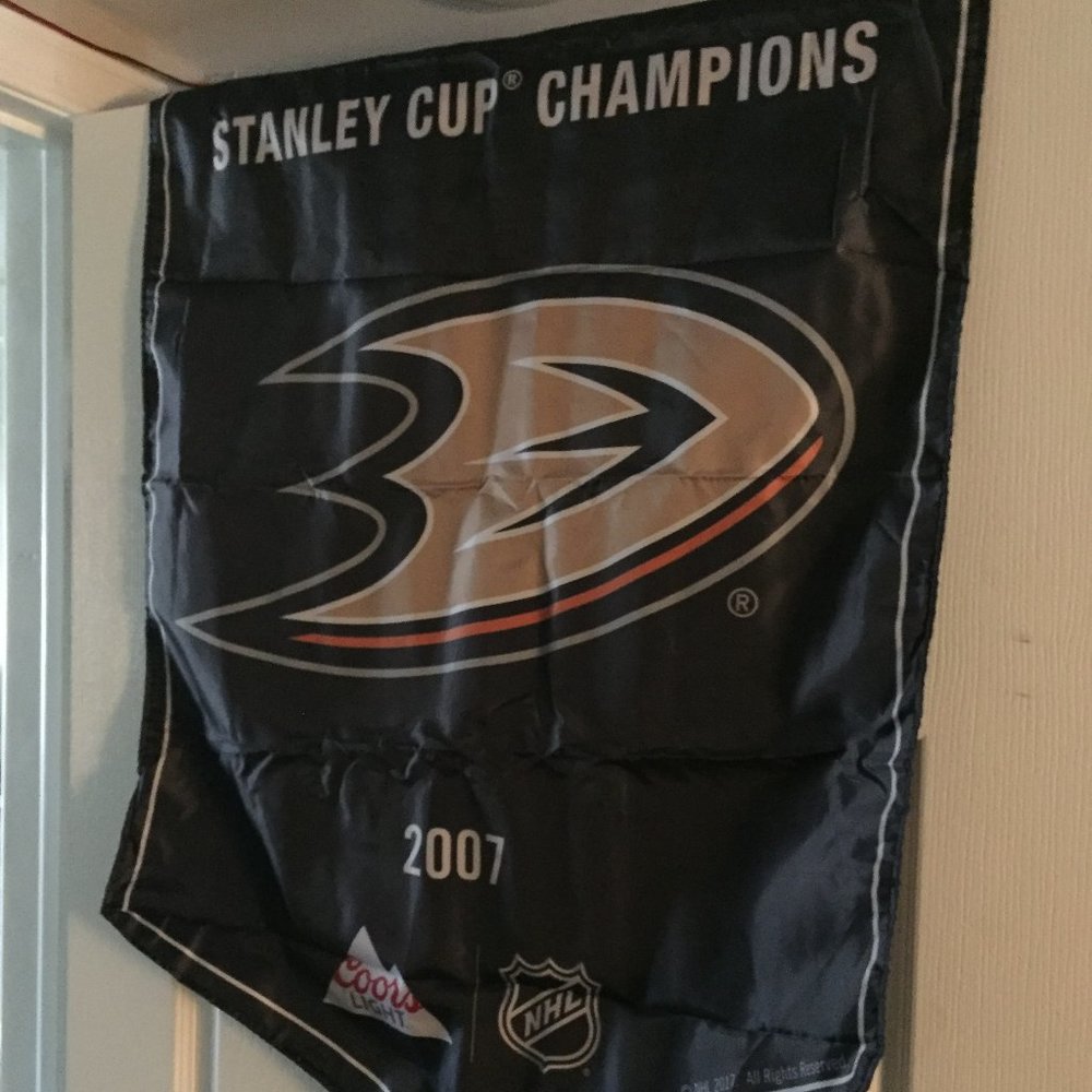 🦋 3/$25 Anaheim Ducks NHL Championship Banner
